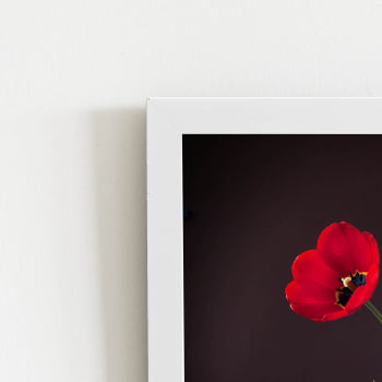 Quadro Tulipa Vermelha Vaso Pintura Moldura Branca 60x40cm