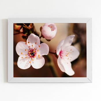 Quadro Cerejeira Okinawa Flores Foto Moldura Branca 60x40cm