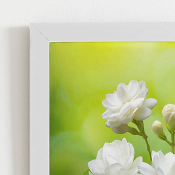Quadro Jasmim-árabe Flor Branca Moldura Branca 60x40cm 