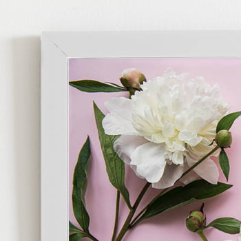 Quadro Peônia Branca Flores Rosa Moldura Branca 60x40cm
