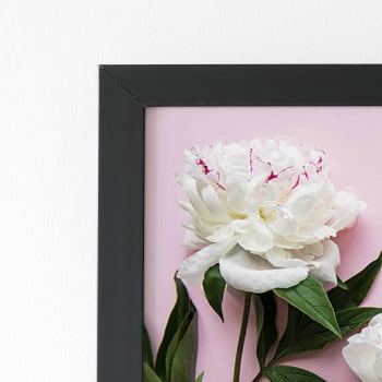 Quadro Peônia Branca Flores Rosa Moldura Preta 60x40cm
