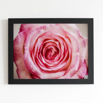 Quadro Rosa com Orvalhos Fotografia Moldura Preta 60x40cm 
