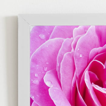 Quadro Rosa Flor Fotografia em Foco Moldura Branca 60x40cm