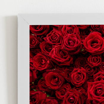 Quadro Rosas Vermelhas Decorativo Moldura Branca 60x40cm 