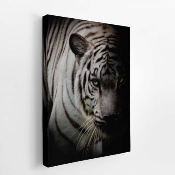 Tigre Branco Foto Animal Decorativo Quadro Canvas